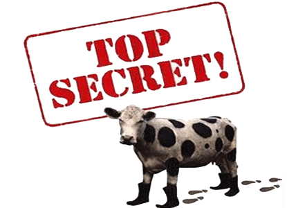 Top Secret – Best Of